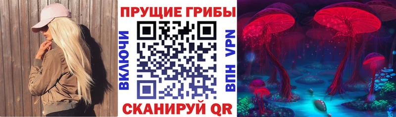 Галлюциногенные грибы Magic Shrooms  Славгород 